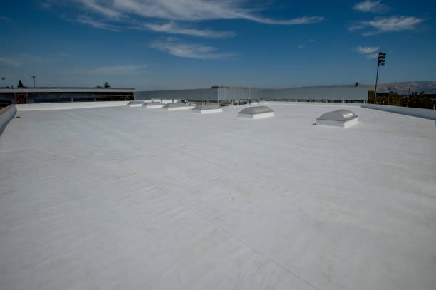 Best Sheet Metal Roofing  in Stockton, MO