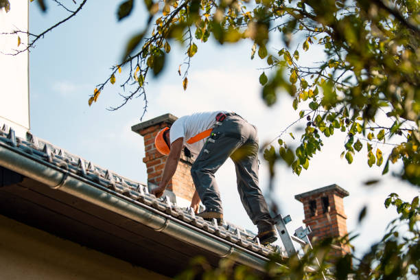 Roof Coating Services in Stockton, MO