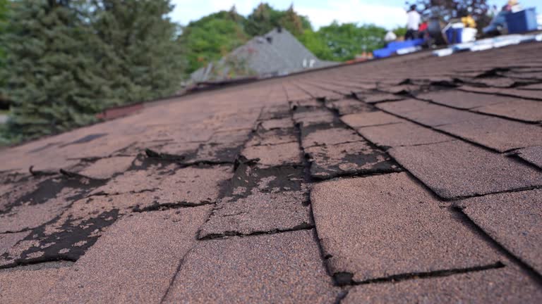 Best Cold Roofs  in Stockton, MO