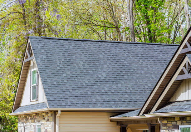 Best Solar Panel Roofing Installation  in Stockton, MO